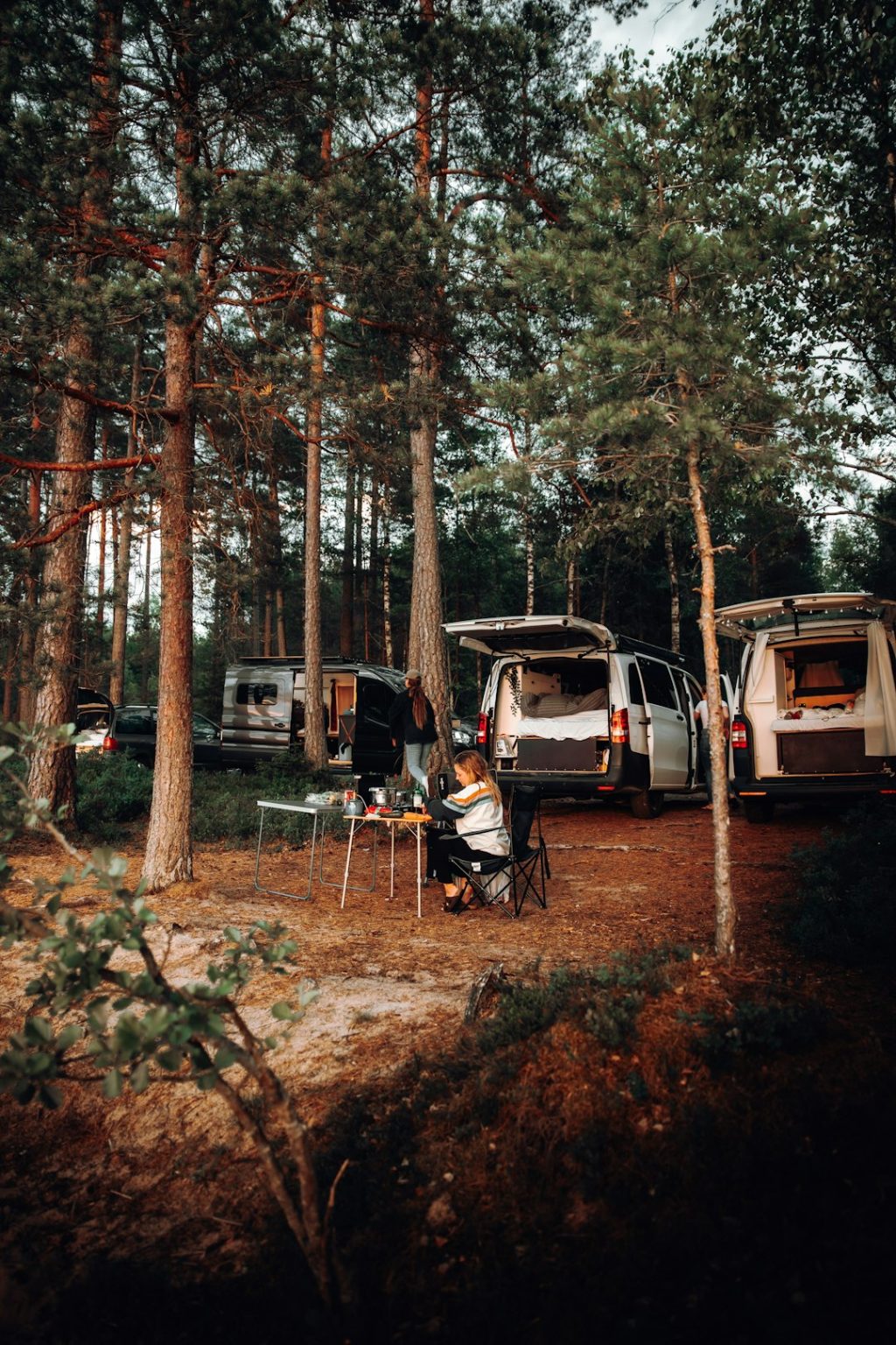 Fourgon aménagé stationné en forêt, un groupe d’amis assis autour